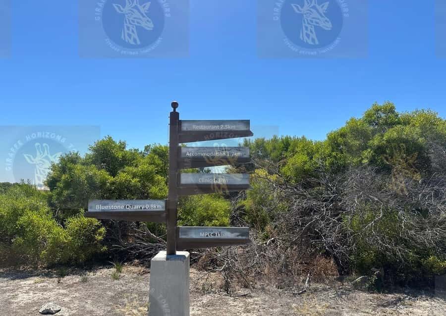 Cape Town: Robben Island Ferry with Prison Ticket and Tour - Getting the Details Right: Names, Birthdates, and Ticket Info