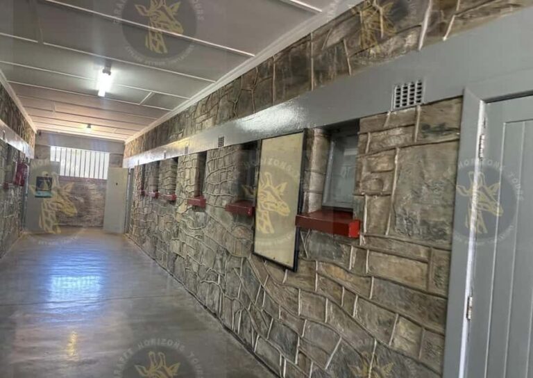 Cape Town: Robben Island Ferry with Prison Ticket and Tour - The Guided Island Bus Stops That Change How You See the Prison