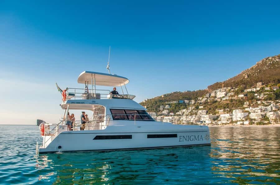 Cape Town: Scenic 1-Hour Coastal Catamaran Cruise - Key Things You’ll Notice on This Cruise