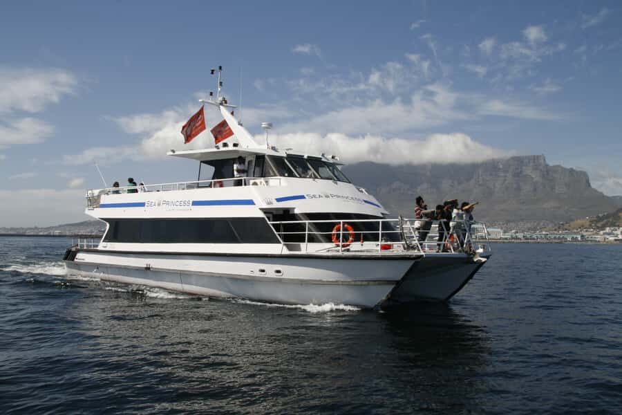 Cape Town: Scenic 1-Hour Coastal Catamaran Cruise - Cape Town Coastal Catamaran Cruise: Why This One Hour Feels Like More