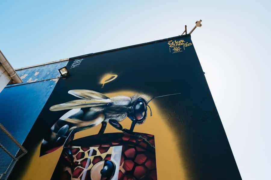 Cape Town: Street Art Walking Tour in Woodstock - Salt Orchard (Unit B10) and Coffee: Slower Time for Art Details
