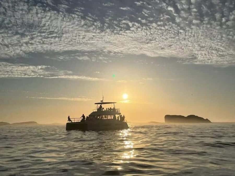 Cape Town: Sunset Champagne Cruise - Why This 90-Minute Sunset Cruise Feels Worth It