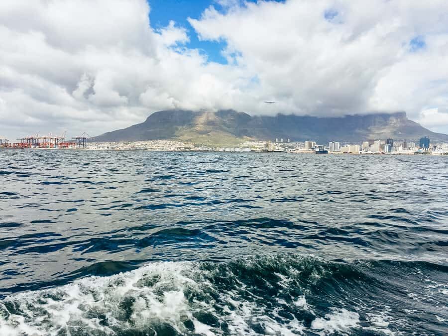 Cape Town: Sunset Champagne Cruise - Price and Value: $46 for Sunset, Sailing, and Sparkle
