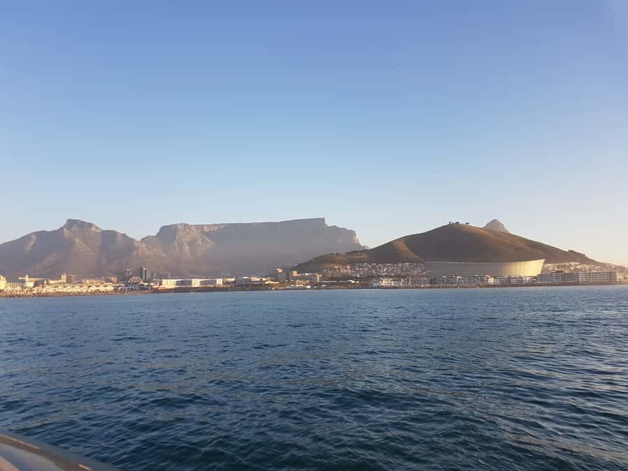Cape Town: Sunset Cruise from V&A Waterfront with Bubbly - Wildlife spotting from the deck: dolphins, seals, and patience