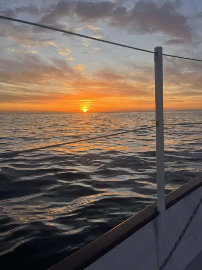 Cape Town: Sunset Cruise from V&A Waterfront with Bubbly - Getting on board smoothly: meeting point and what to do before departure