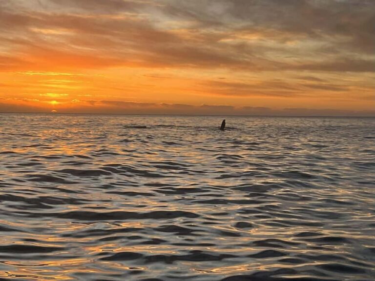 Cape Town: Sunset Cruise from V&A Waterfront with Bubbly - The route you’ll follow: Table Bay, Milnerton lighthouse, and Granger Bay