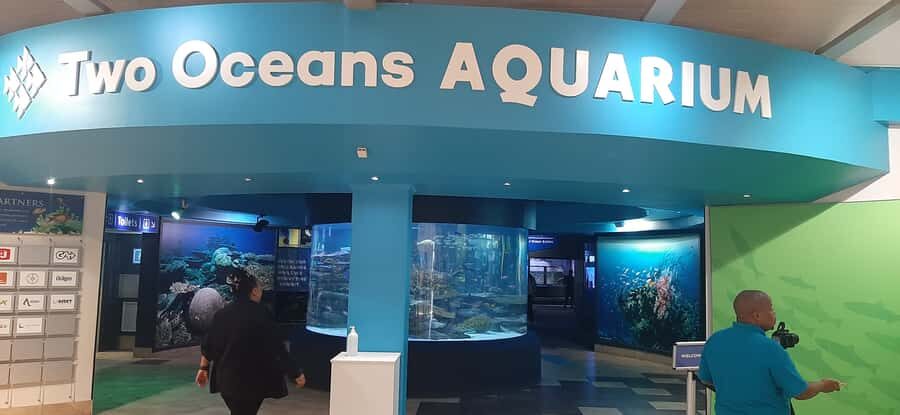 Cape Town: Table Mountain and Robben Island Tour - Key Things to Know Before You Go
