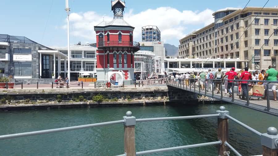 Cape Town: Table Mountain and Robben Island Tour - The Two Oceans Aquarium Slot: A Break Between Weighty Stops