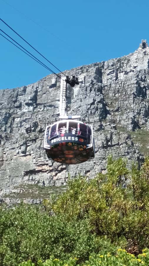 Cape Town: Table Mountain Cable Car Ticket - Fynbos trails and the option to hike down