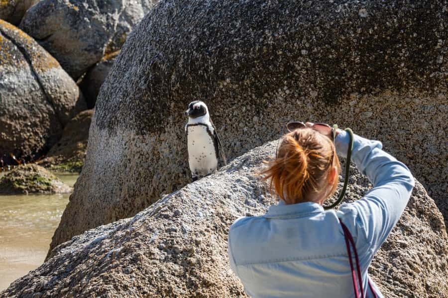 Cape Town: Table Mountain & Cape of Good Hope Full-Day Tour - Bo-Kaap: the color stop that sets the tone for Cape Town