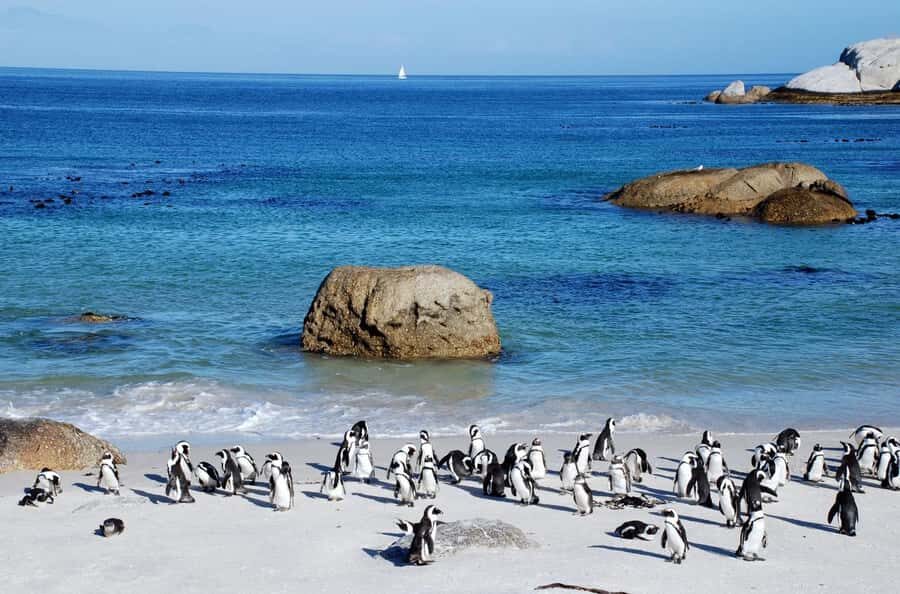 Cape Town: Table Mountain & Cape of Good Hope Full-Day Tour - Cape of Good Hope: the sign photos plus a shoreline moment