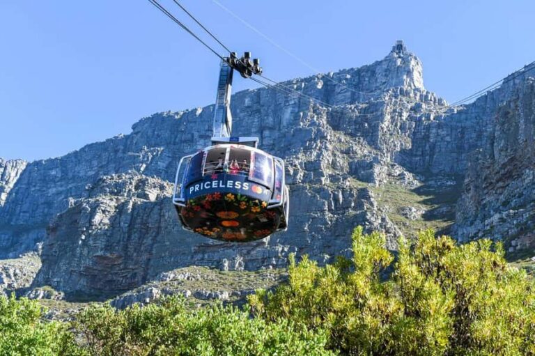 Cape Town: Table Mountain & Cape of Good Hope Full-Day Tour - Pickup, air-conditioned comfort, and the “get oriented” factor