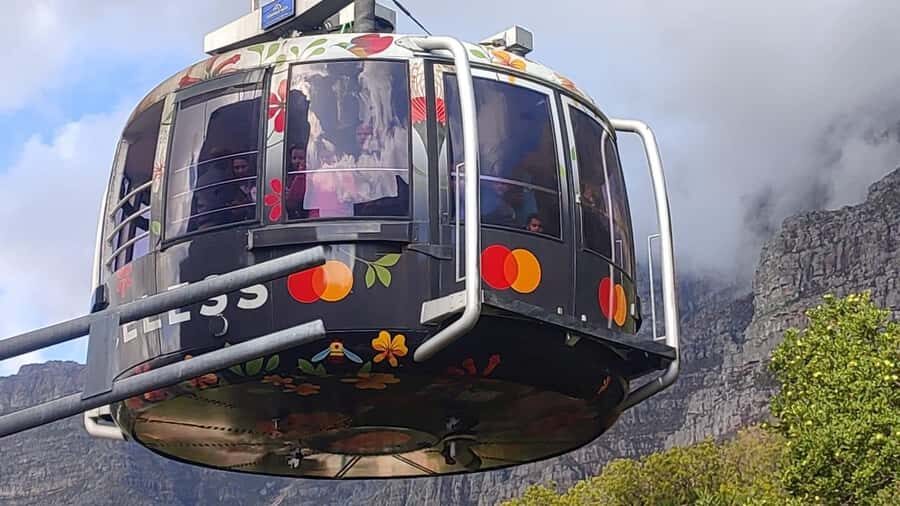 Cape Town: Table Mountain, Cape Point, & Penguins Group Tour - Key Tour Highlights Worth Your Attention