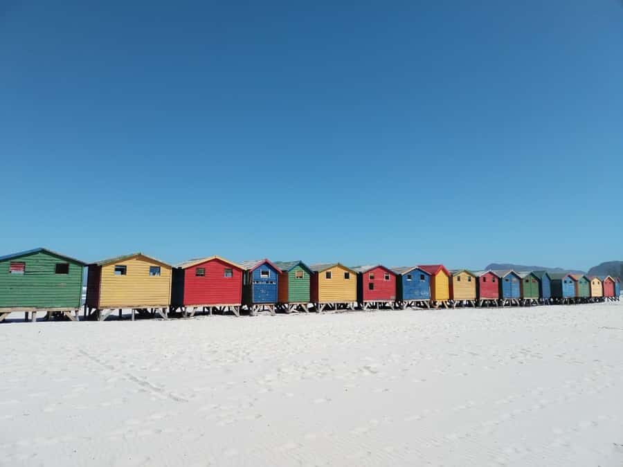 Cape Town: Table Mountain, Cape Point, & Penguins Group Tour - Boulders Beach Penguins: The Day’s Most Fun Stop