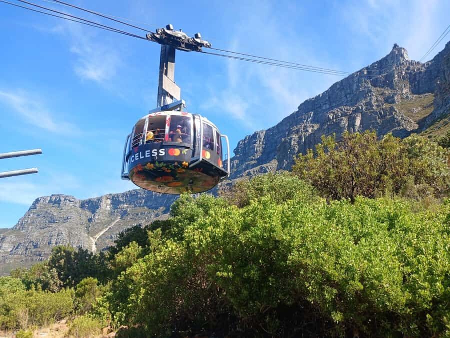Cape Town: Table Mountain, Cape Point, & Penguins Group Tour - How Guides Shape This Day (Nuria, Armando, Gabriel, Albert, and More)
