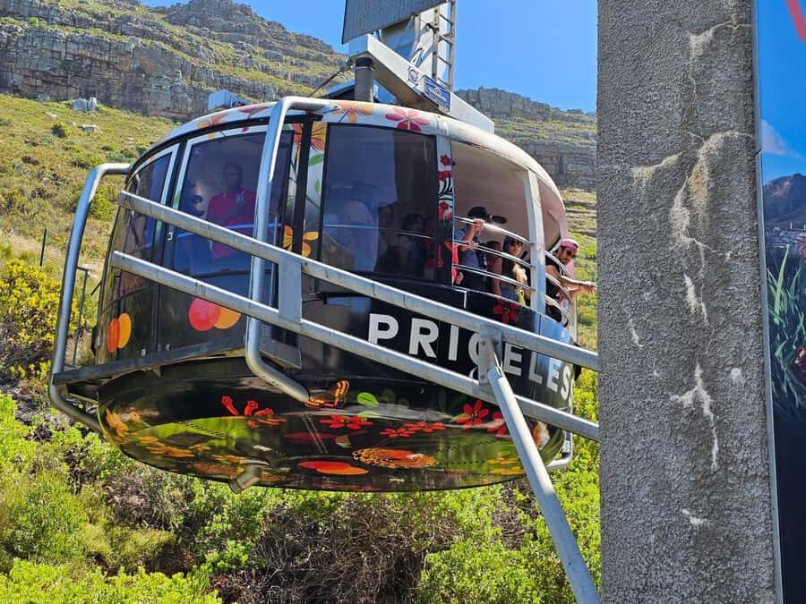Cape Town: Table Mountain, Cape Point, & Penguins Group Tour - Driving the Cape Peninsula: Camps Bay, Hout Bay, and Chapman’s Peak