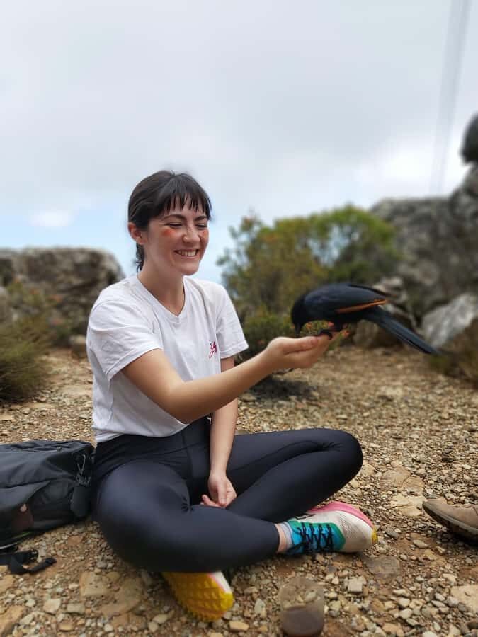 Cape Town: Table Mountain Hike with an Expert Guide - Key highlights you’ll feel on the day