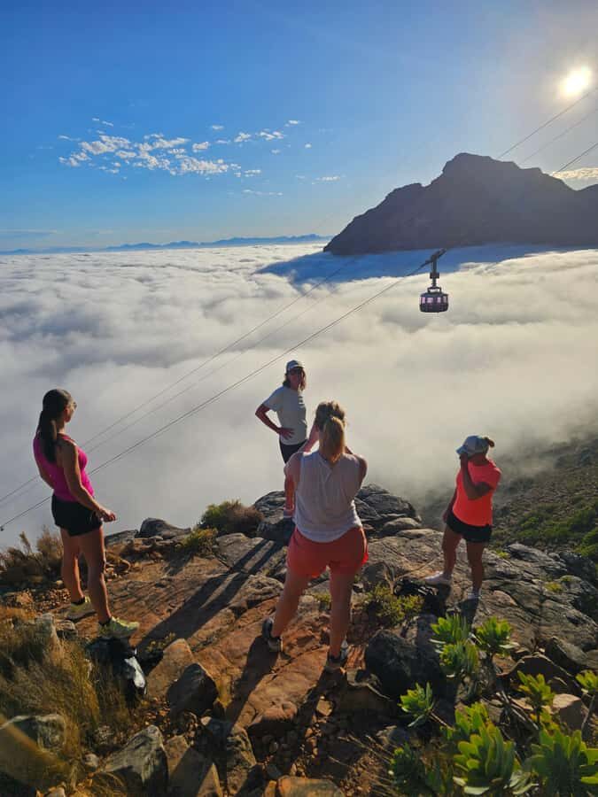 Cape Town: Table Mountain Hike with an Expert Guide - The 3-hour hike: what the day feels like, step by step