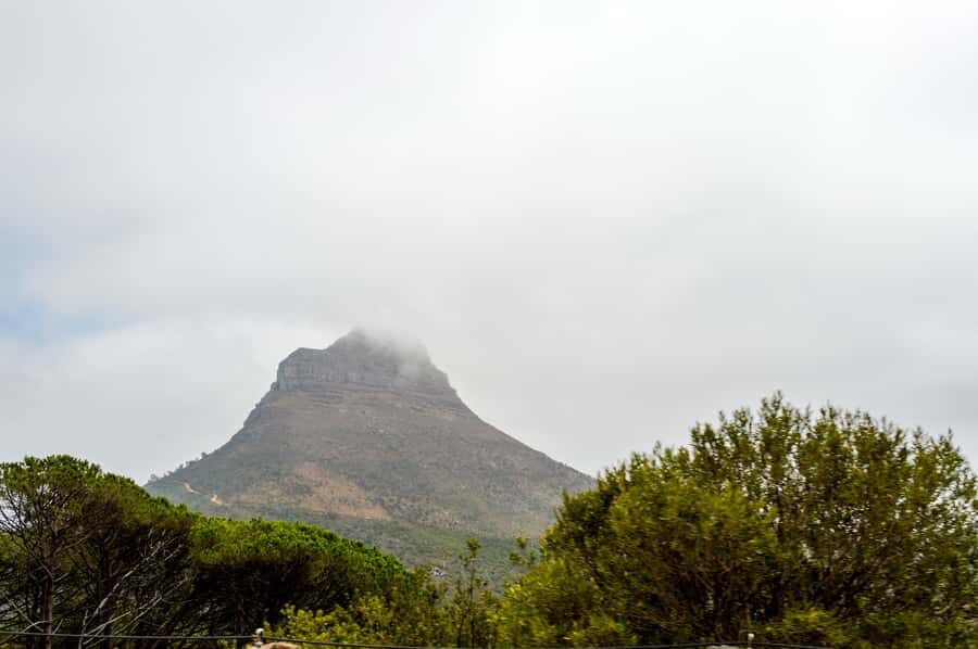 Cape Town Uncovered : Half-Day City Tour and Table Mountain - Signal Hill: the “one more viewpoint” that actually lands