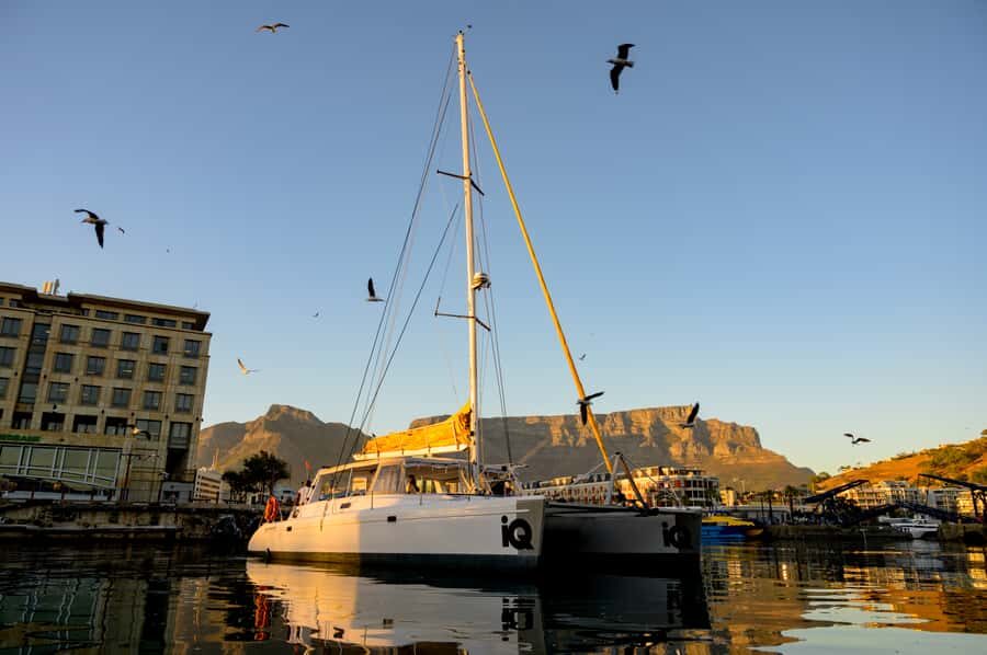 Cape Town: V&A Waterfront Gin Voyage Cruise - Two Gins, Two Pours: What the Drink Part Actually Feels Like