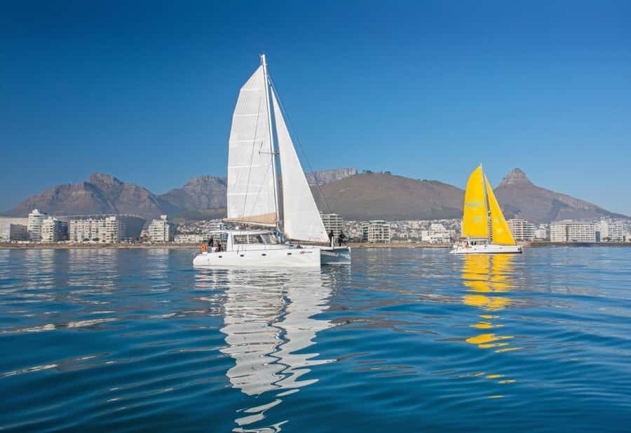 Cape Town: V&A Waterfront Gin Voyage Cruise - The Views You’re Paying For: Table Mountain and the Twelve Apostles