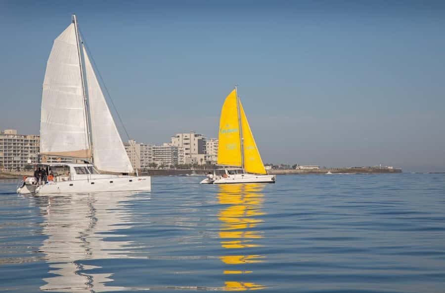 Cape Town: V&A Waterfront Gin Voyage Cruise - Crew Energy, Photo Help, and the Music Vibe