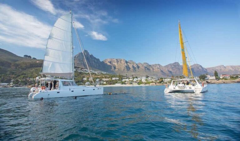 Cape Town: V&A Waterfront Gin Voyage Cruise - Getting Aboard: Where You’ll Want to Sit on the Catamaran