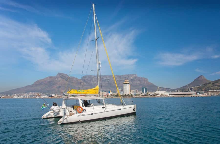 Cape Town: V&A Waterfront Gin Voyage Cruise - Practical Tips That Make a Difference on the Water