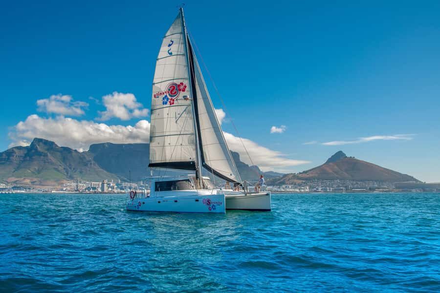 Cape Town Waterfront and Bay: Sailing Trip - When you’re not fully sailing: engine days and harbor-light magic