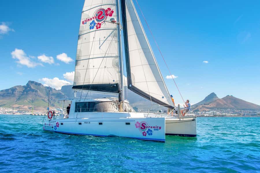 Cape Town Waterfront and Bay: Sailing Trip - Who should book this sailing trip (and who might skip it)