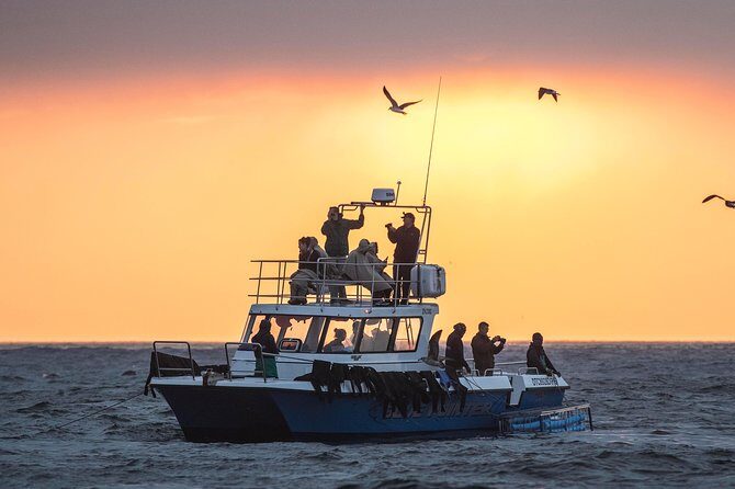 CapeTown: Shark Cage Diving Experience with Scuba - Inside the Cage Setup: Scuba Gear, Buoyancy, and Mouthpiece Notes