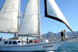 Champagne Cruise (Pre-Sunset) from Cape Town - The included sparkling wine: what you get for $23.01