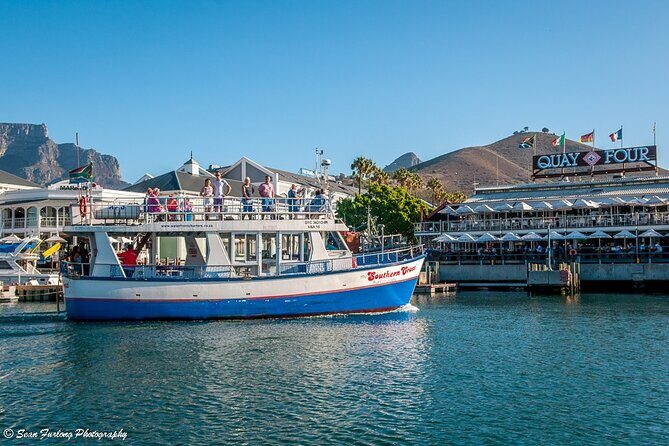 Champagne Cruise (Pre-Sunset) from Cape Town - Marine commentary and wildlife chances in Cape Town’s waters