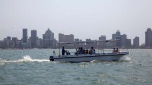 Durban: 1-Hour Boat Cruise from Wilson's Wharf - The 60-minute flow: what you’ll see and why it matters