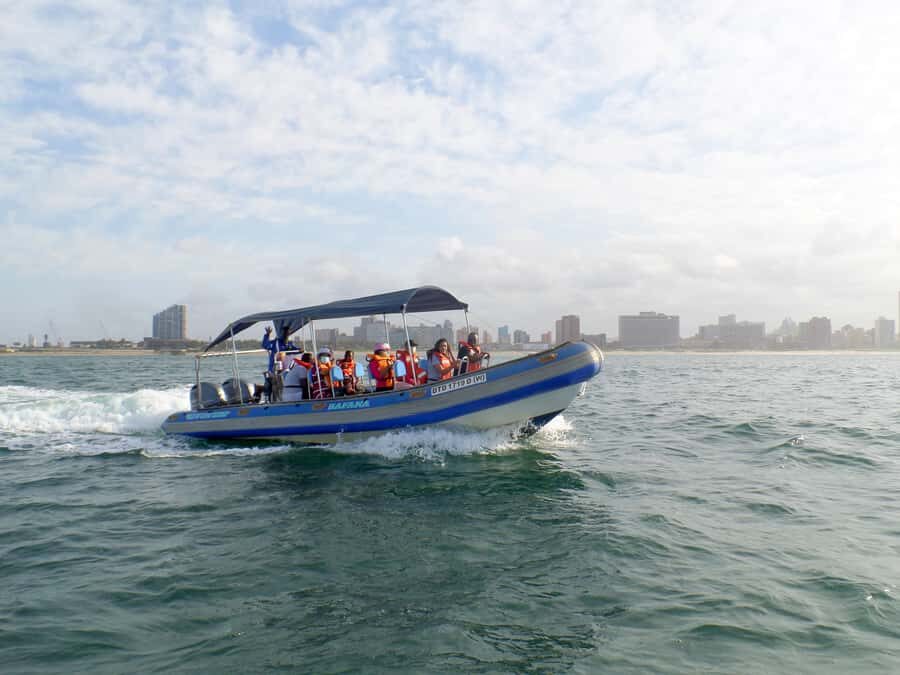 Durban: 1-Hour Boat Cruise from Wilson's Wharf - Comfort and safety: semi-covered boats and rough-sea reality