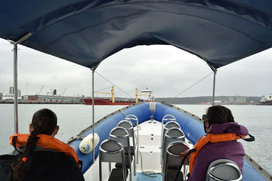 Durban: 1-Hour Boat Cruise from Wilson's Wharf - Who should book this Durban boat cruise (and who should skip it)