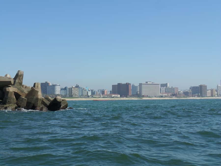 Durban: 1-Hour Boat Cruise from Wilson's Wharf - Price and value: why $11 feels like a bargain