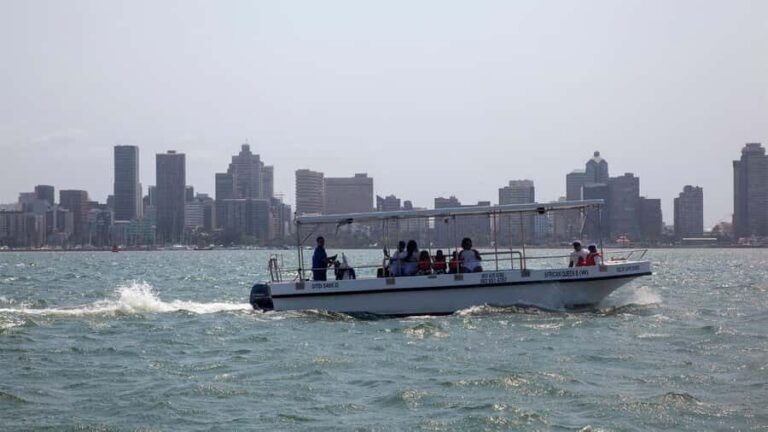 Durban: 1-Hour Boat Cruise from Wilson's Wharf - The 60-minute flow: what you’ll see and why it matters