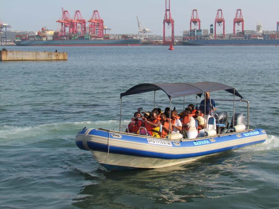 Durban: 1-Hour Boat Cruise from Wilson's Wharf - When to go and what to pack for the smoothest hour
