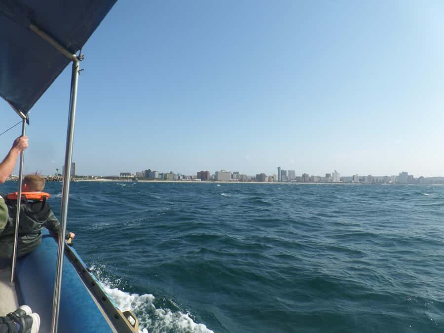 Durban: 1-Hour Boat Cruise from Wilson's Wharf - Should you book this 1-hour Durban cruise from Wilson’s Wharf?