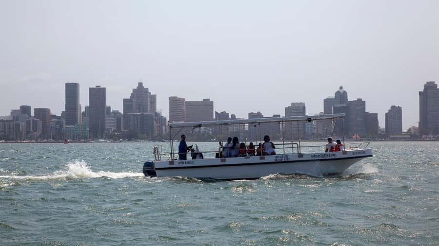 Durban: 1-Hour Boat Cruise from Wilson's Wharf - The 60-minute flow: what you’ll see and why it matters