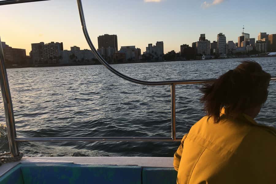 Durban: 30-Minute Harbor Boat Cruise - What You’ll See: Ships, Tugs, Docks, and the Durban Skyline
