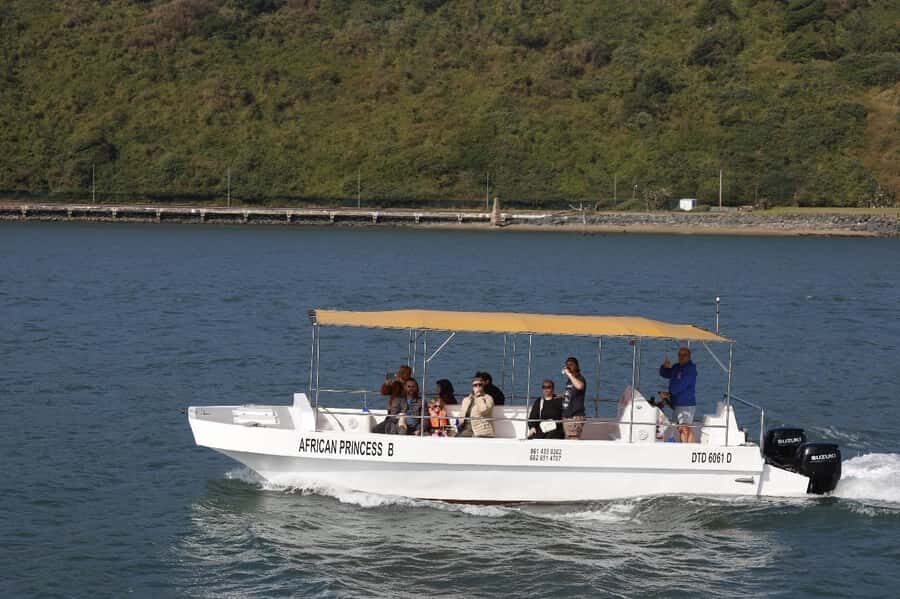 Durban: 30-Minute Harbor Boat Cruise - Birds and Boats: How to Make the Most of the Wildlife Moment