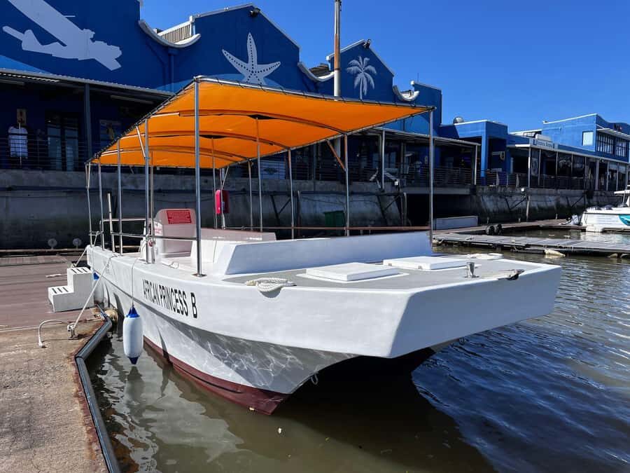 Durban: 30-Minute Harbor Boat Cruise - What to Bring: Cooler, Sun Protection, and Binoculars