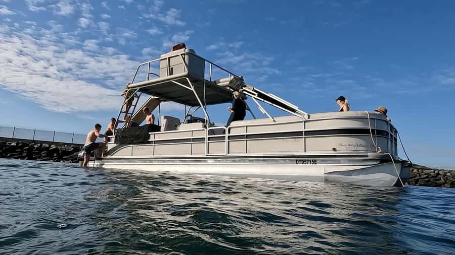 Durban: Pontoon Boat Harbor Cruise - Who This Pontoon Cruise Is Best For (And Who Should Skip It)