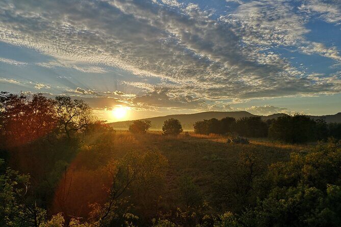 Early Morning Balloon Safari with Breakfast from Magaliesburg - What You’ll See From the Sky (and What Guides Help You Notice)