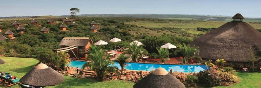 From Cape Town: 2-Day Safari at Garden Route Game Lodge - How This 2-Day Safari from Cape Town Really Works