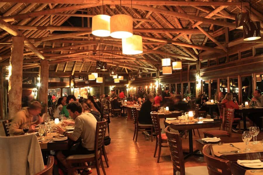 From Cape Town: 2-Day Safari at Garden Route Game Lodge - The Real Logistics You Should Know Before Booking