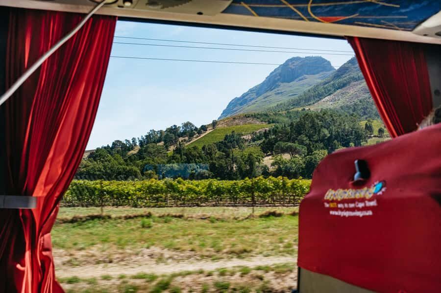 From Cape Town: 3 Regions Wine Tour with 3 Estates, 15 Wines - What to Bring for a Smooth Day of Tastings