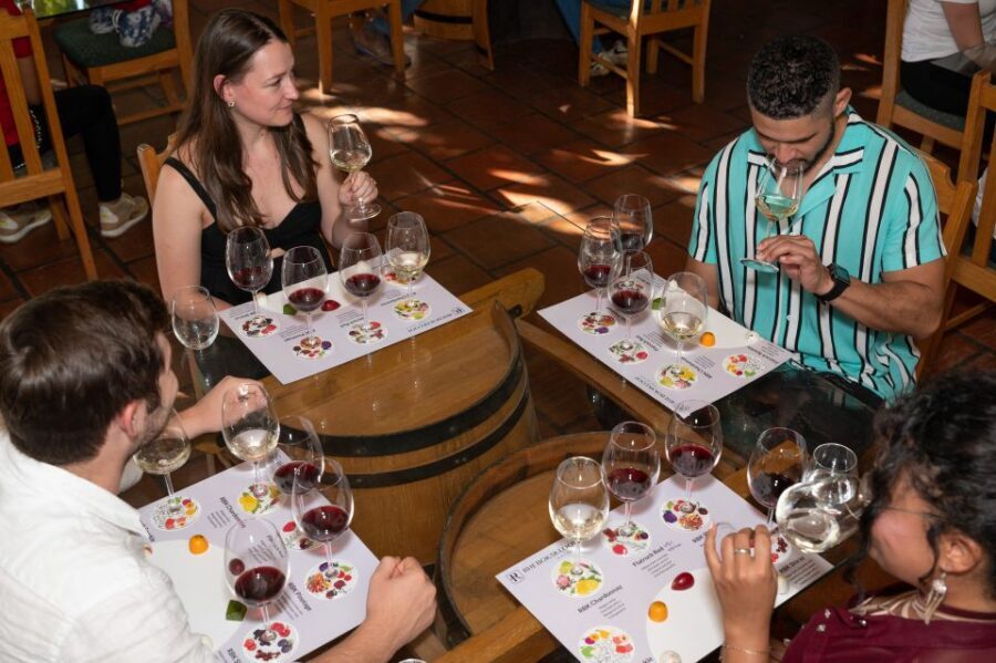 From Cape Town: 3 Regions Wine Tour with 3 Estates, 15 Wines - Who This Wine Tour Is Best For (and Who Should Skip)
